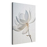 Stampa su tela Fiore bianco con petali