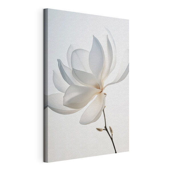 Stampa su tela Fiore bianco con petali