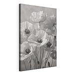 Stampa su tela Mazzo di fiori bianchi