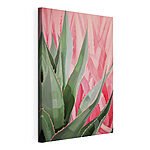 Stampa su tela Foglie di agave dai colori artistici