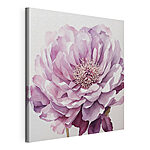 Stampa su tela Elegante peonia in tonalità acquerellate