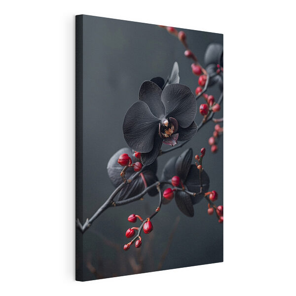Fiore nero con bacche rosse Stampa su tela Fiore nero con bacche rosse