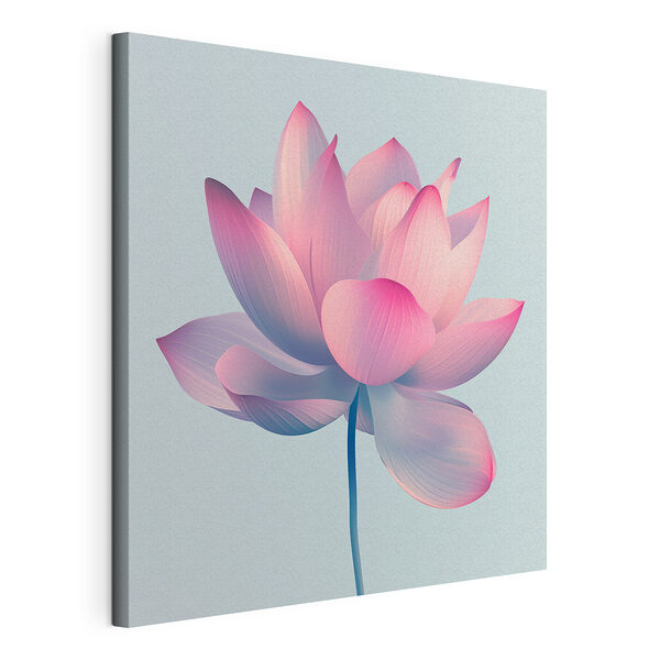 Fiore rosa e bianco Stampa su tela Fiore rosa e bianco