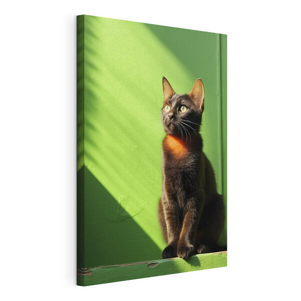 Gatto seduto su una sedia Stampa su tela Gatto seduto su una sedia