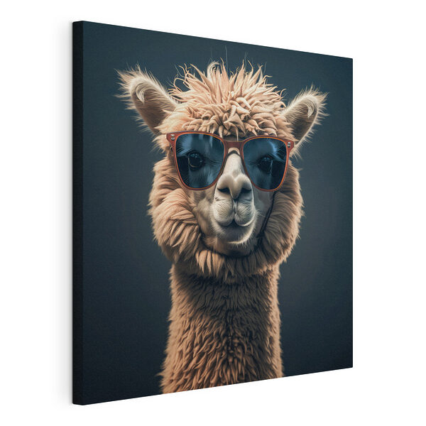 Lama con gli occhiali da sole Stampa su tela Lama con gli occhiali da sole