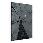 Stampa su tela Albero con la luna sullo sfondo