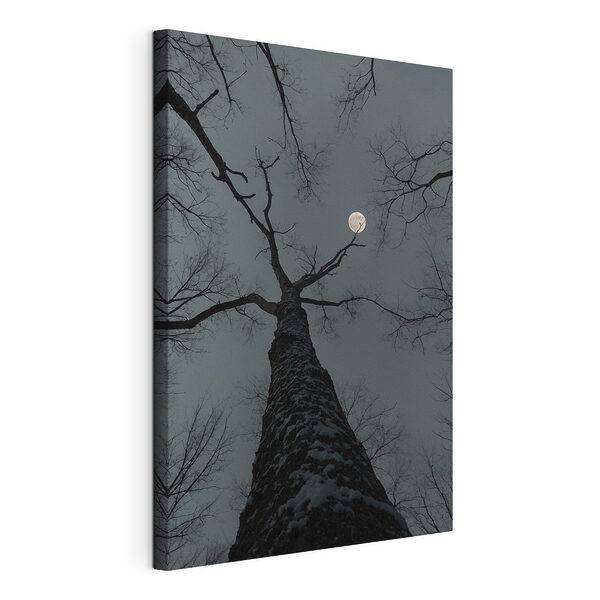 Albero con la luna sullo sfondo Stampa su tela Albero con la luna sullo sfondo
