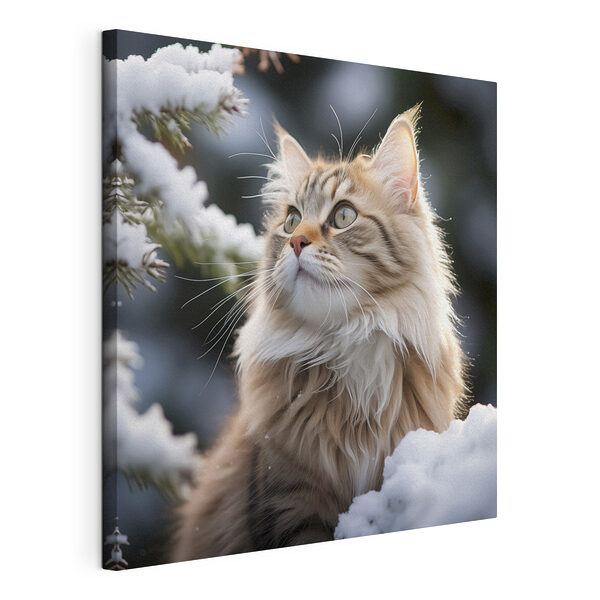 Gatto seduto sulla neve Stampa su tela Gatto seduto sulla neve