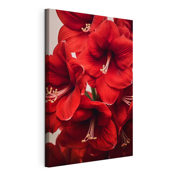 Petali di un rosso vivace in fiore Stampa su tela Petali di un rosso vivace in fiore