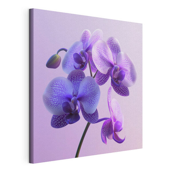 Fiore di orchidea viola e bianco Stampa su tela Fiore di orchidea viola e bianco