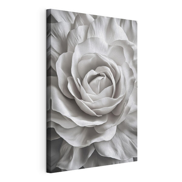 Eleganti petali di una rosa bianca Stampa su tela Eleganti petali di una rosa bianca
