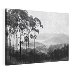 Stampa su tela Foresta con alberi e montagne sullo sfondo