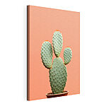 Stampa su tela Cactus con spine rosse