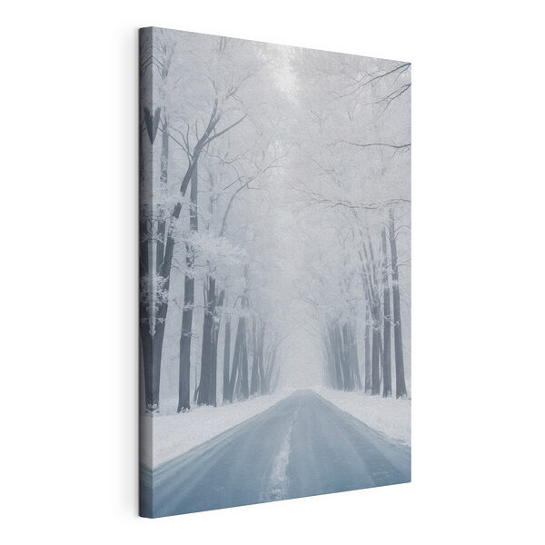 Strada con alberi ricoperti di neve Stampa su tela Strada con alberi ricoperti di neve