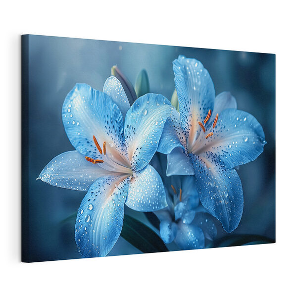 Stampa su tela Fiori delicati dai colori vivaci