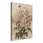 Stampa su tela Fiori delicati dai colori tenui