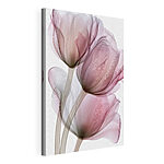 Stampa su tela Fiori delicati dai colori tenui