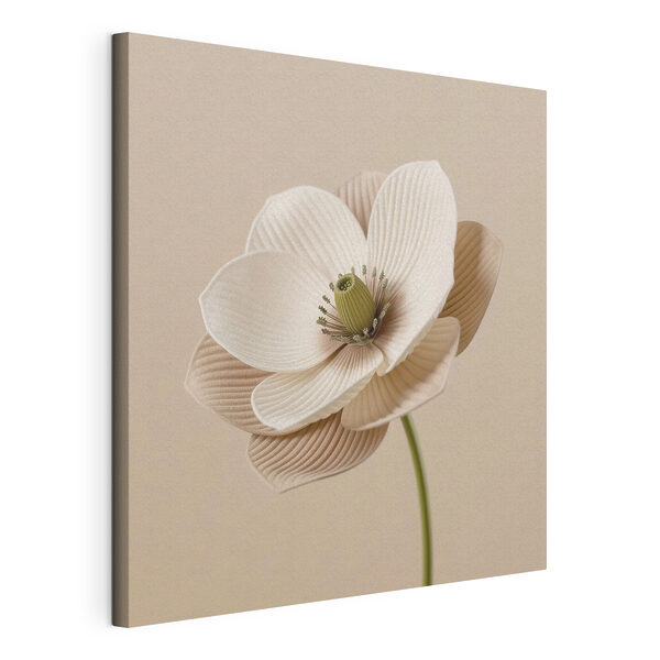 Un fiore delicato dalle curve morbide Stampa su tela Un fiore delicato dalle curve morbide