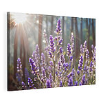 Stampa su tela La luce del sole inonda la lavanda nella foresta