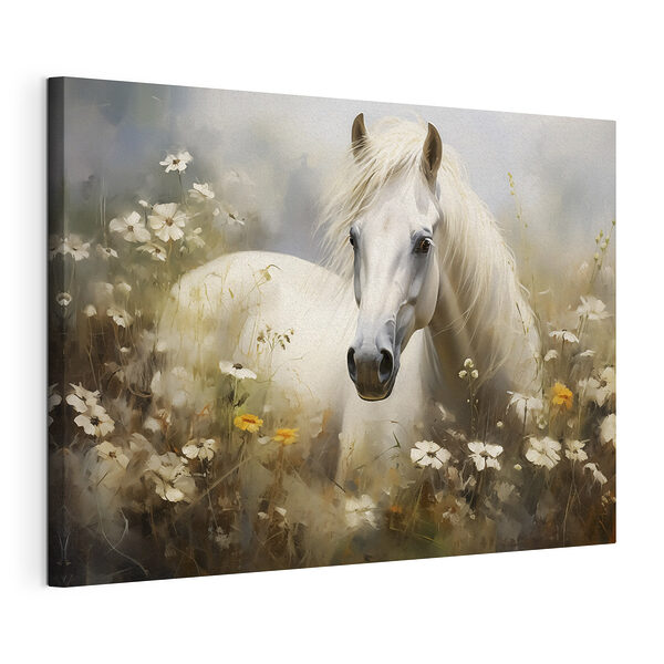 Cavallo bianco in un campo di fiori Stampa su tela Cavallo bianco in un campo di fiori