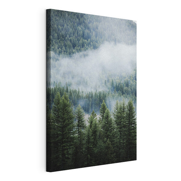 Foresta con nebbia e nuvole Stampa su tela Foresta con nebbia e nuvole