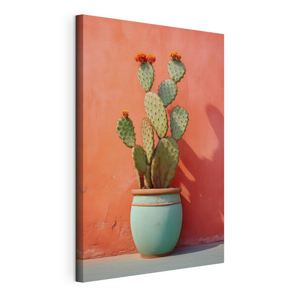 Cactus in vaso appoggiato al muro Stampa su tela Cactus in vaso appoggiato al muro