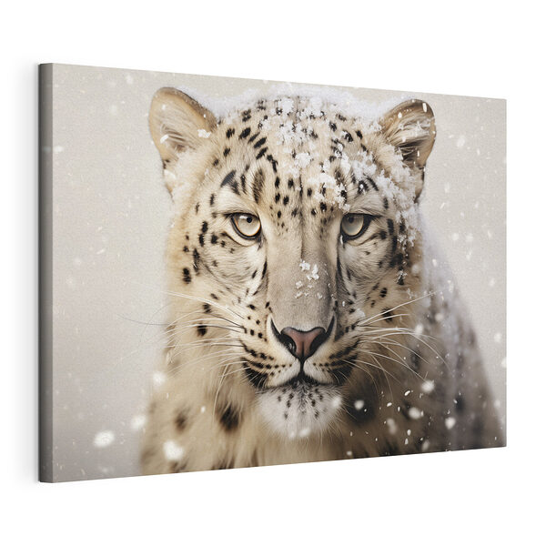 Stampa su tela Leopardo delle nevi con la neve sulla testa