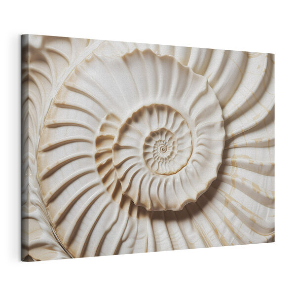 Stampa su tela Motivi naturali in un disegno ispirato alle conchiglie