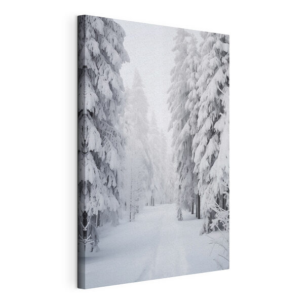 Sentiero innevato con alberi Stampa su tela Sentiero innevato con alberi