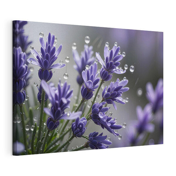 Stampa su tela Fiori delicati sfiorati da goccioline