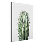 Stampa su tela Cactus con le spine