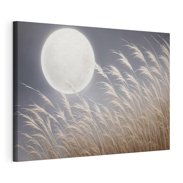 Stampa su tela La luna nel cielo