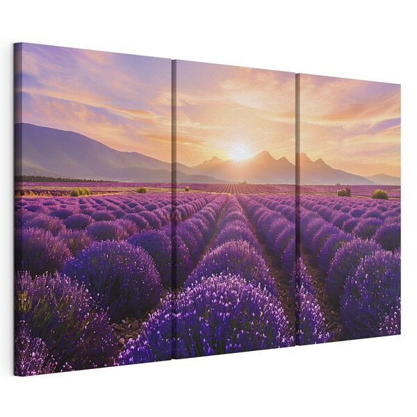 Stampa su tela modulare Campo di lavanda con le montagne sullo sfondo