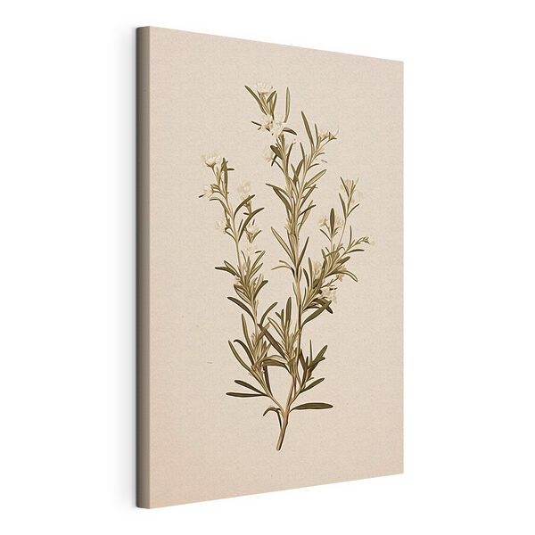 Stampa su tela Pianta con fiori bianchi