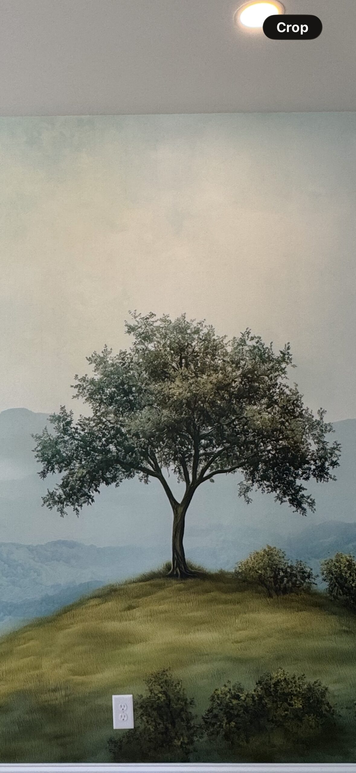 Foto della recensione
